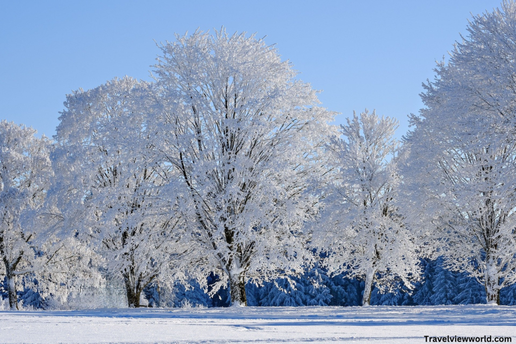 Best Family Vacations in December 