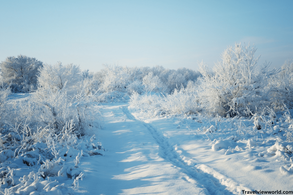 Family travel December