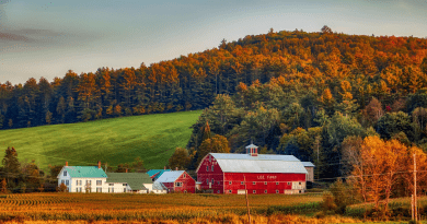 New England Summer Vacations
