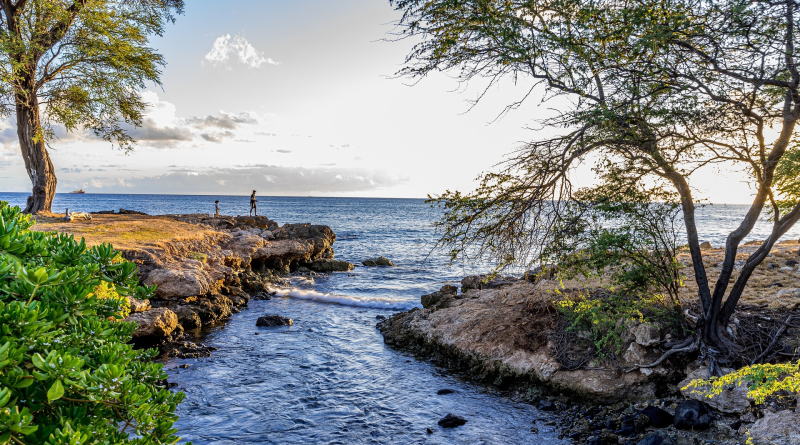 Best Things to Do on Oahu Island